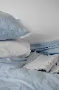 5197704868716994390.webp