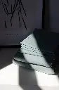 5330232741834386585.webp