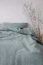 5330232741834386581.webp
