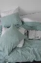 5197704868716994305.webp