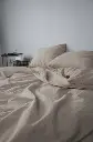 5434060024277227735.webp