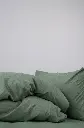5465640828610404730.webp