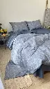 5319191587802182481.webp