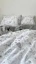 5319191587802182432.webp