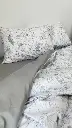 5319191587802182434.webp