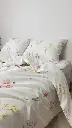 5204212057703051868.webp