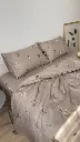 5199875111396702853.webp