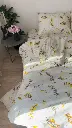 5460637715696592968.webp