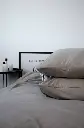 5332684468080730799.webp