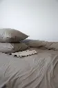 5332684468080730794.webp