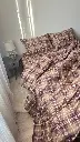 5399958873005222452.webp