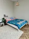 5309936057833353576.webp