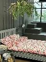 5402291851995773429.webp