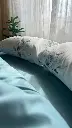 5258160957224507832.webp
